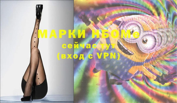 соль ск Няндома