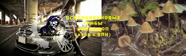 твердый Нягань