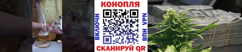 Купить  Александровское  Конопля THC 21% 
